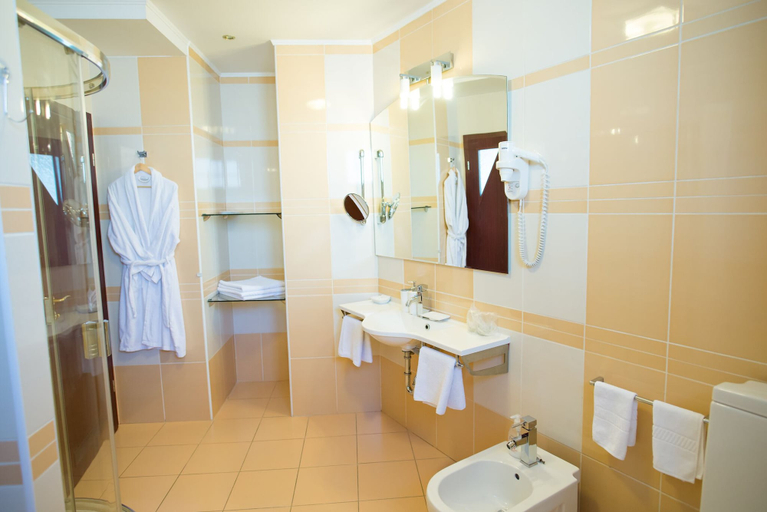 Bathroom 5, Pensiunea President, Deva