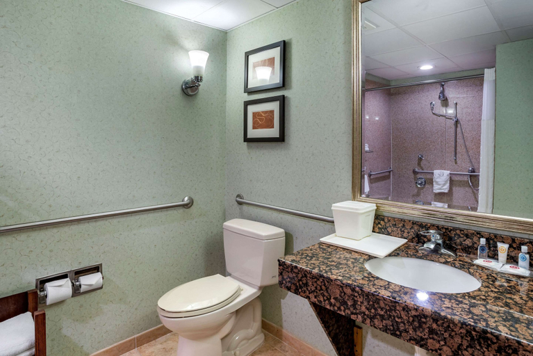 Bathroom 4, Comfort Suites Hagerstown Southeast, Washington