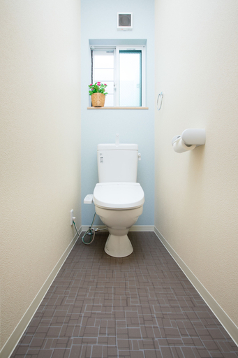Bathroom 3, Tsuru House, Osaka