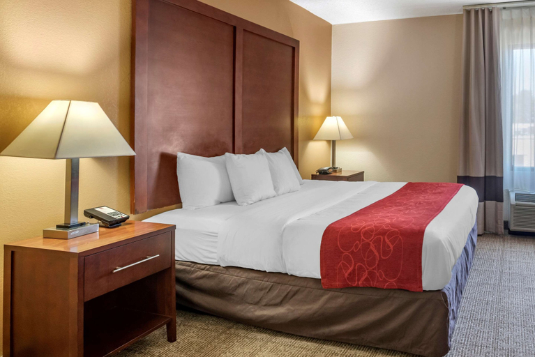 Bedroom 3, Comfort Suites Hagerstown Southeast, Washington