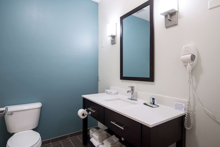 Bathroom 4, Sleep Inn & Suites Washington near Peoria, Tazewell