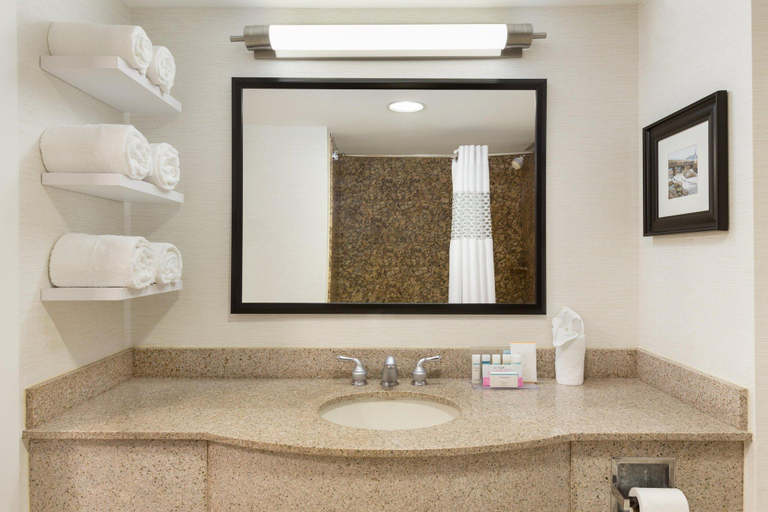 Bathroom 3, Hampton Inn & Suites Manchester-Bedford, Hillsborough