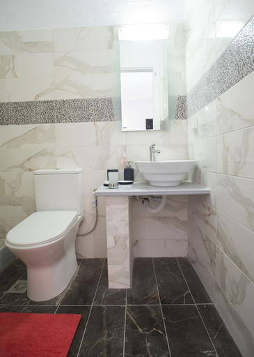 Bathroom 5, Myconian brothers, South Aegean