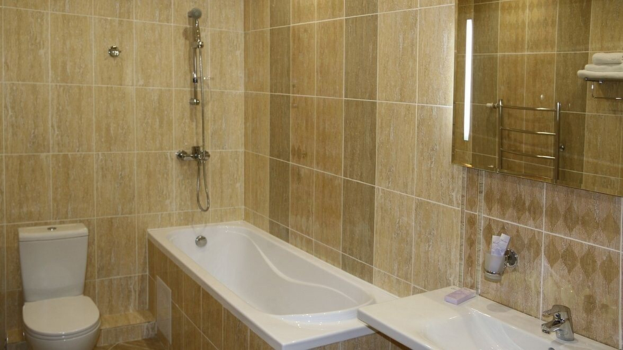 Bathroom 3, Park - Hotel Pushkin, Buzulukskiy rayon