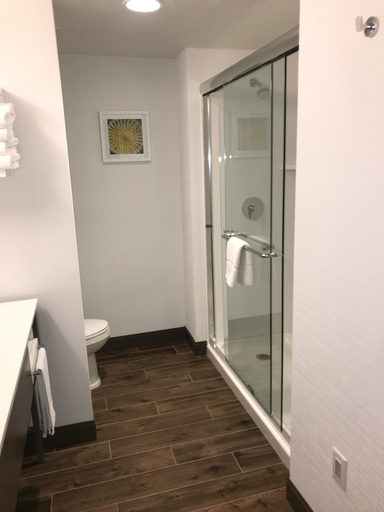 Bathroom 3, Hampton Inn & Suites St. George, UT, Washington