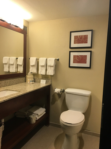 Bathroom 4, Comfort Suites Near Potomac Mills, Prince William
