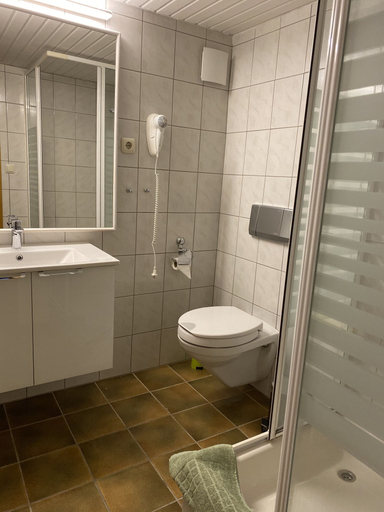 Bathroom, Ferienwohnungen Elsterblick, Vogtlandkreis