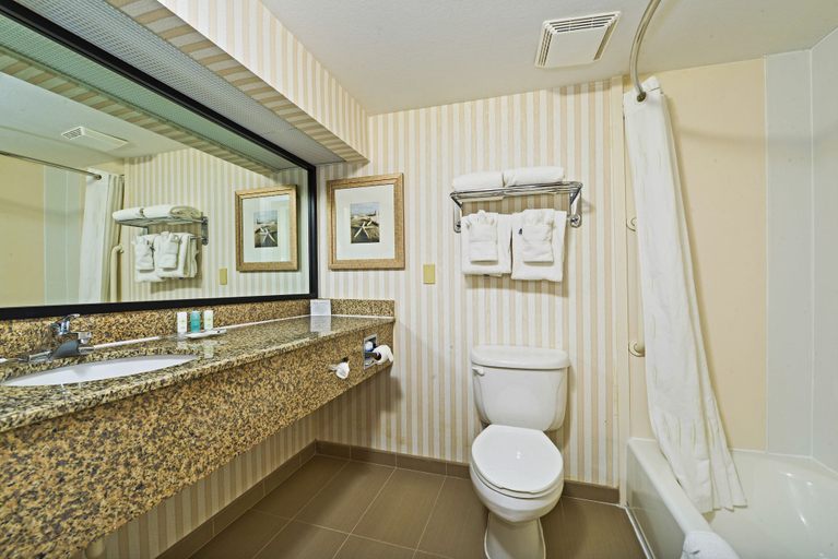 Bathroom 4, Comfort Suites Tamarac Sawgrass, Broward