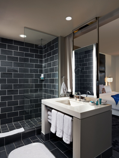 Bathroom 5, W Dallas, Dallas