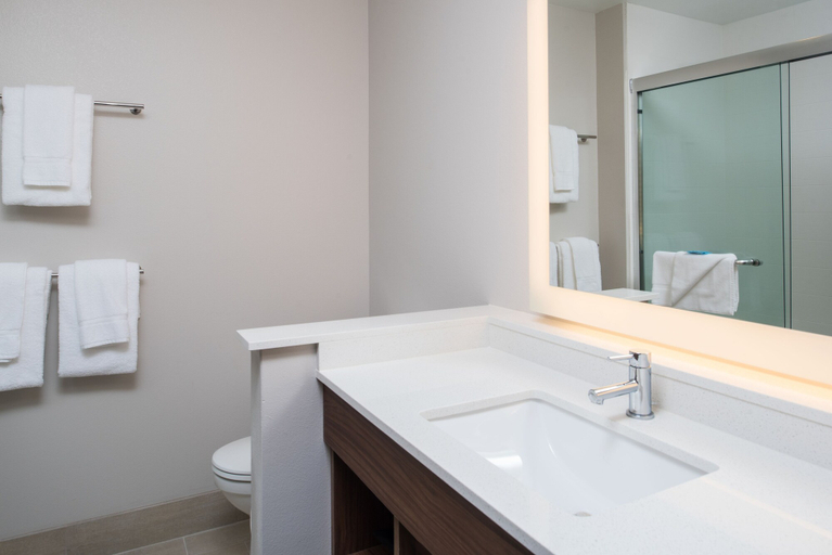 Bathroom 5, Holiday Inn Express & Suites RUSTON, Lincoln