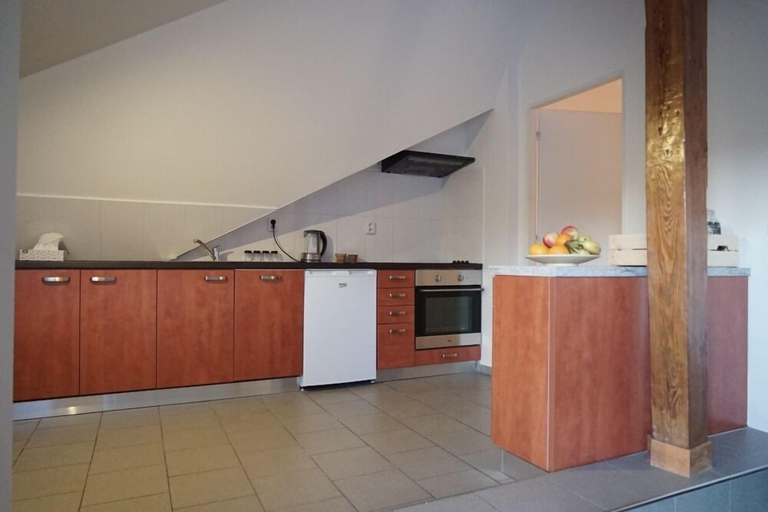 Others 3, Attic Flat With Amazing Terrace, Praha 2