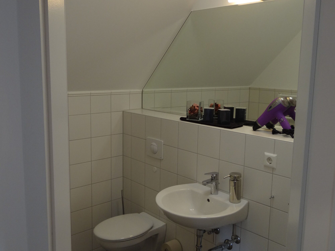 Bathroom 5, Landgasthaus zum Seysingshof, Hildburghausen