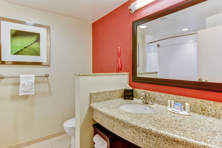 Bathroom 3, Courtyard by Marriott Bridgeport Clarksburg, Harrison