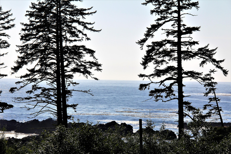 Others 5, Pacific Rim Retreat, Alberni-Clayoquot