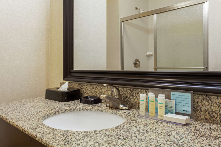 Bathroom 4, Hampton Inn Ozark, Dale