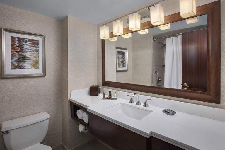 Bathroom 4, Philadelphia Airport Marriott, Philadelphia