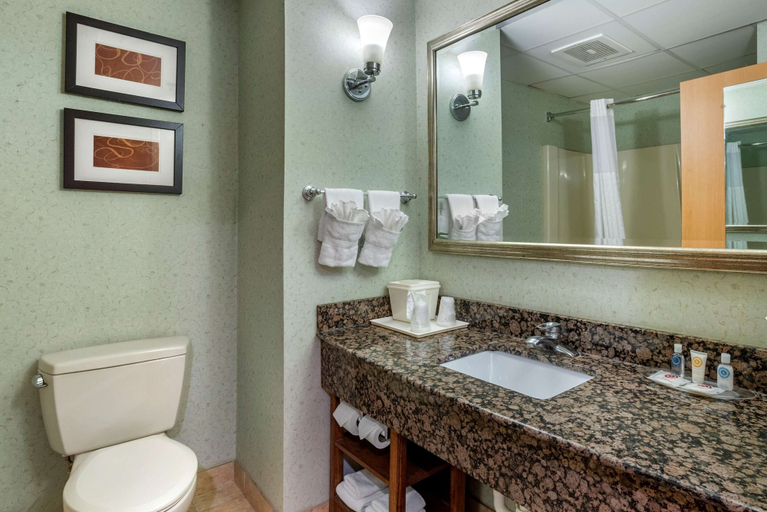 Bathroom 4, Comfort Suites Hagerstown Southeast, Washington