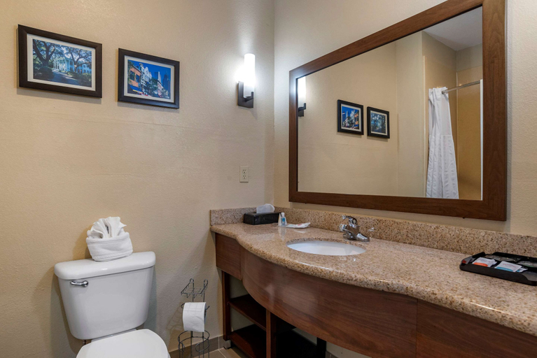 Bathroom 4, Comfort Suites Mobile, Mobile