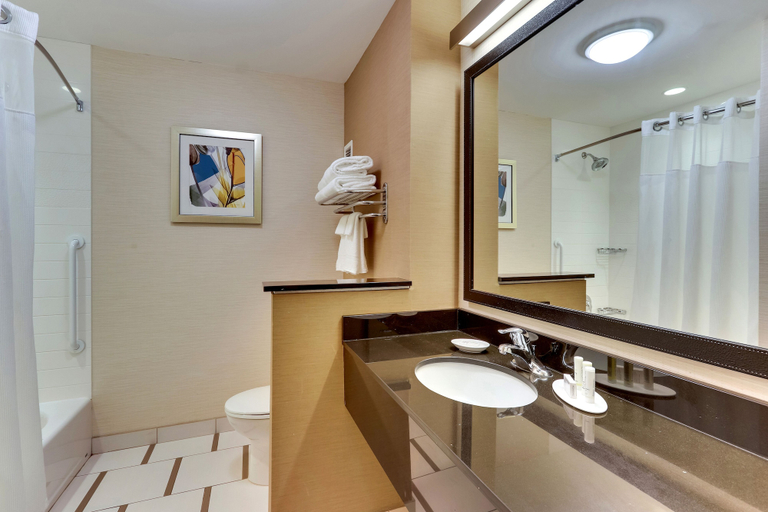 Bathroom 5, Fairfield Inn & Suites Dunn I-95, Harnett