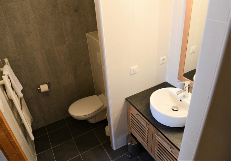 Bathroom 4, Dormio Resort Les Portes du Mont Blanc, Haute-Savoie