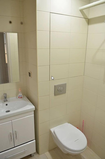 Bathroom, Mini-hotel Gematologii, Domodedovskiy rayon
