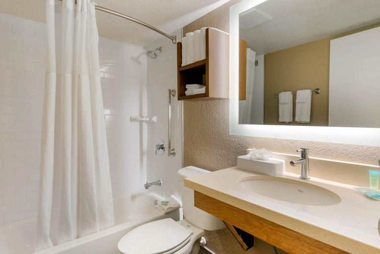 Bathroom 2, Staybridge Suites Orlando Royale Parc Suites by IHG, Osceola