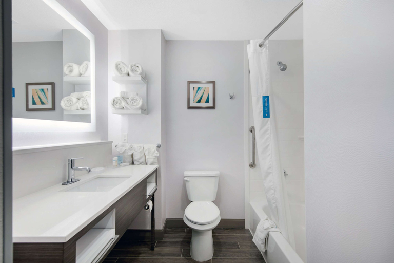 Bathroom 4, Hampton Inn & Suites Ruidoso Downs, Lincoln