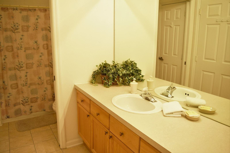 Bathroom 2, Windsor_palms_304n, Osceola