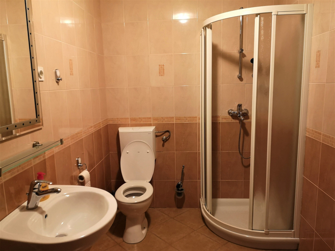 Bathroom 3, Apartments Znidar, Bohinj