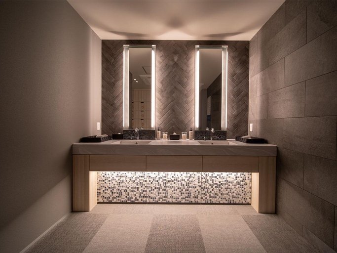 Bathroom, Super Hotel anashiyakusyomae, Anan