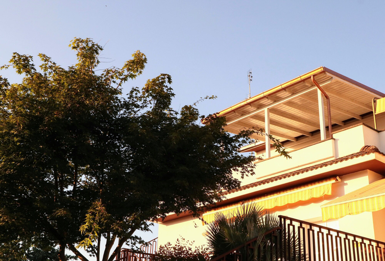 Primary image