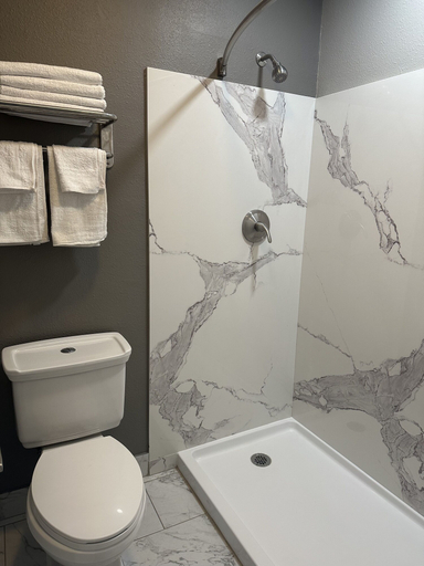 Bathroom 3, ROYAL MOTEL TRACY LLC, San Joaquin