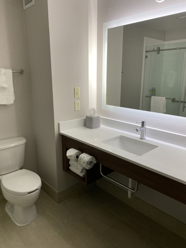 Bathroom 5, Holiday Inn Express & Suites WESTON by IHG, Lewis