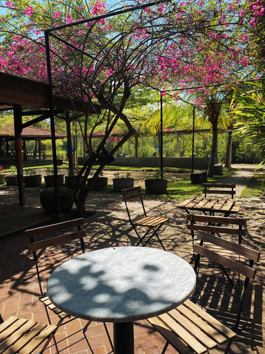 Others 4, Mangroove Bay Boutique Hostel, Buleleng