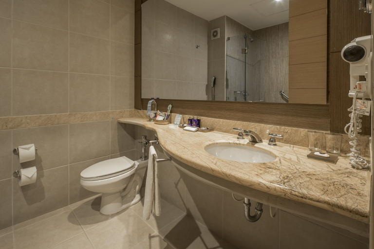 Bathroom 4, Dann Carlton Barranquilla, Barranquilla