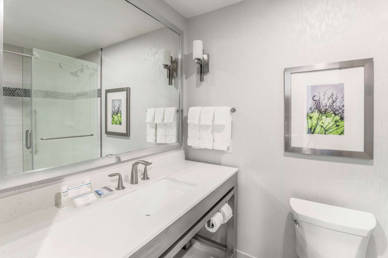 Bathroom 4, Hilton Garden Inn Ardmore, Carter