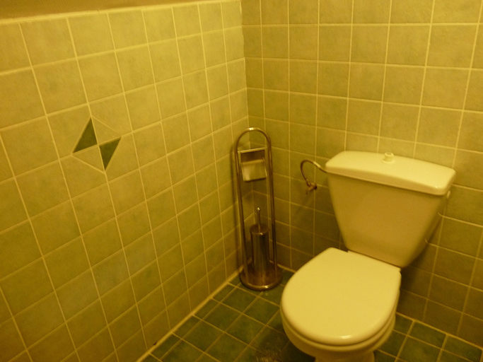 Bathroom 3, Auberge de Violaine, Hautes-Alpes