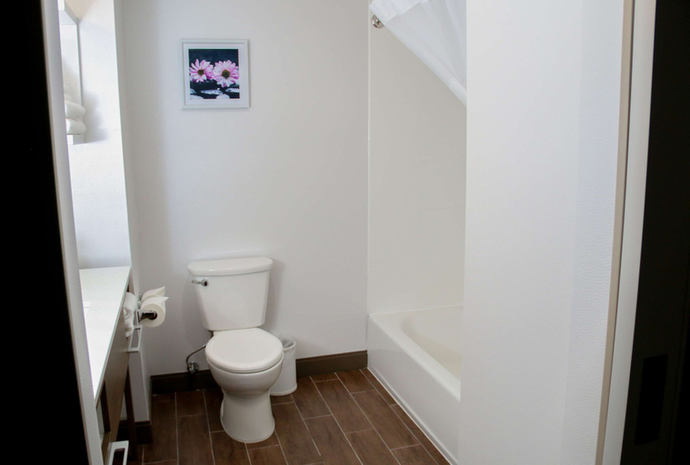 Bathroom 4, Hampton Inn & Suites Lafayette Medical Center, CO, Boulder