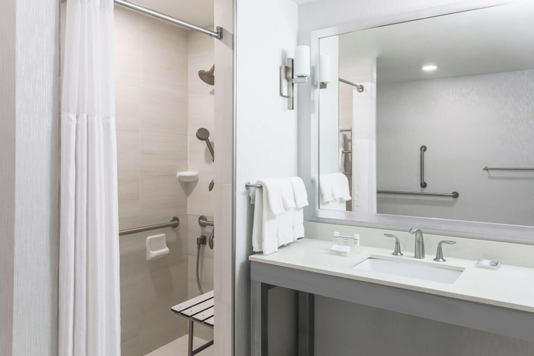 Bathroom 4, Hilton Garden Inn Ardmore, Carter