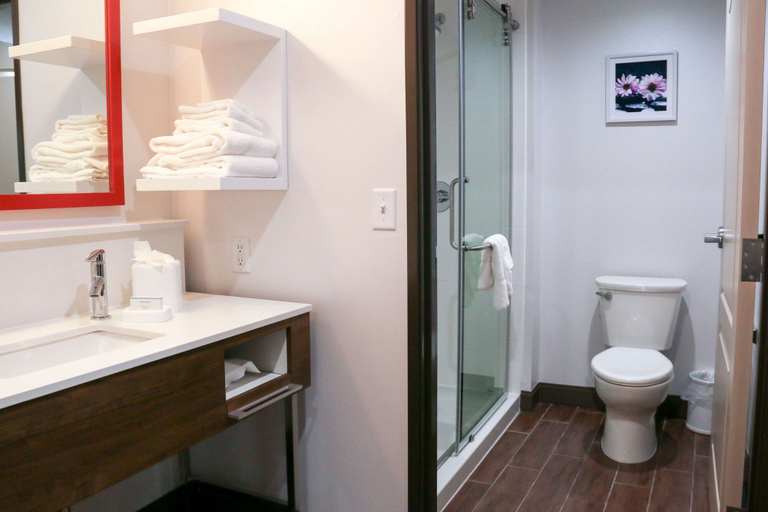 Bathroom 4, Hampton Inn & Suites Lafayette Medical Center, CO, Boulder