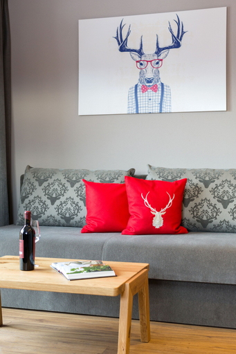 Others 5, Das Grünholz Aparthotel, Sankt Johann im Pongau