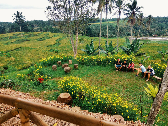Others 5, Agus Hidden Homestay, Banyuwangi