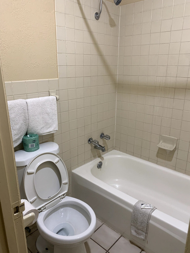 Bathroom 4, Blue Star Inn, Lafayette