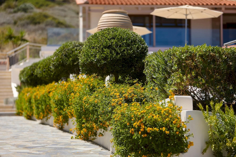 Others 4, Cozy Vintage Style Apartment Shared Pool RU, Crete