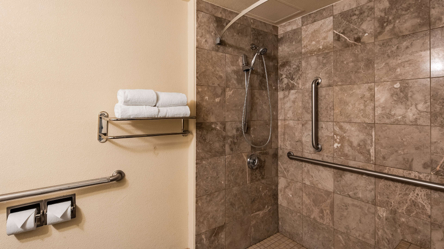 Bathroom 4, Best Western Plus Reading Inn & Suites, Berks