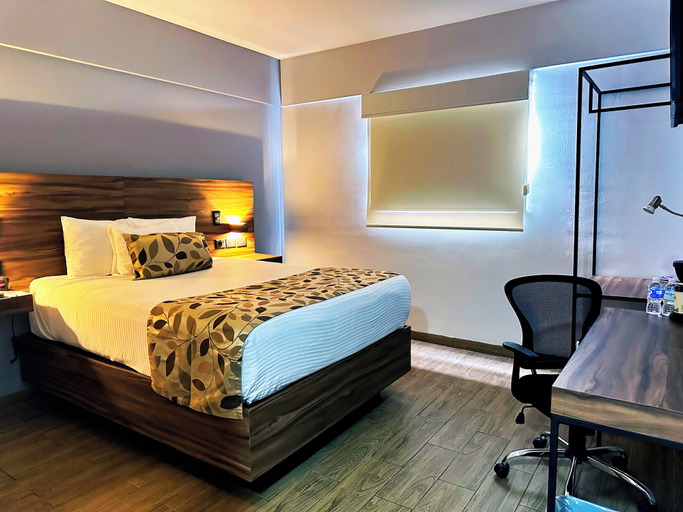 Bedroom 4, Sleep Inn Mexicali, Mexicali