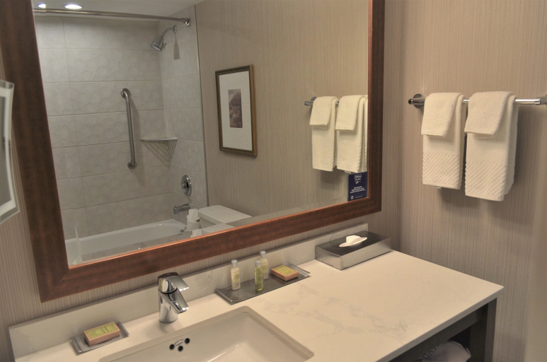 Bathroom 5, DoubleTree Fallsview Resort & Spa by Hilton Niagara Falls, Niagara