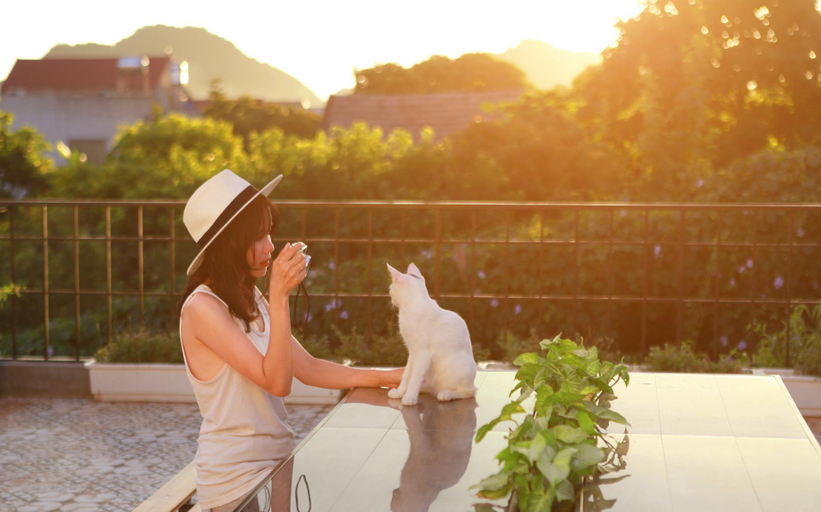 Sport & Beauty 2, Moc Chau Cottage homestay, Mộc Châu