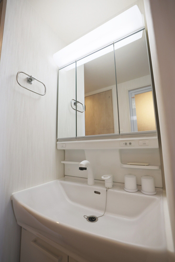Bathroom 4, Seiryu Tsutenkaku, Osaka