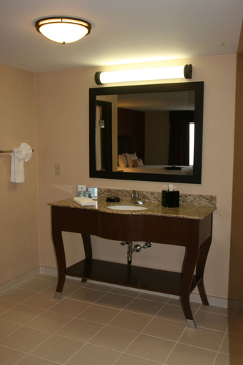Bathroom 5, Hampton Inn & Suites Peru, La Salle